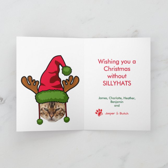 Fun Cat in Funny Hat Photo Personalize Christmas Card (Inside)