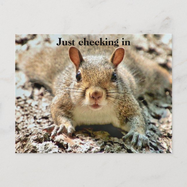 Fun Checking In Postcard (Front)
