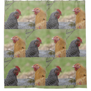 Fun Chicken