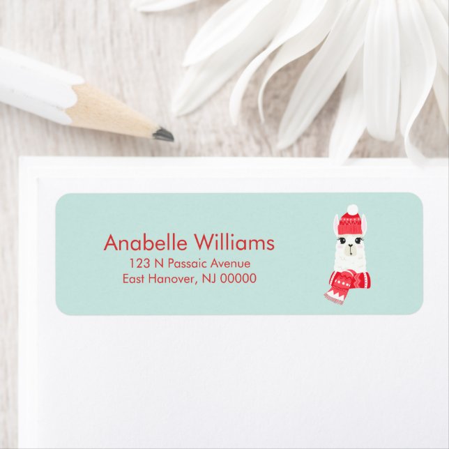 Fun Christmas Alpaca (Insitu)