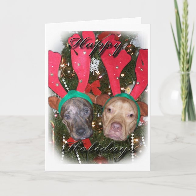 Fun Christmas Card (Front)