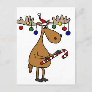 Fun Christmas Moose with Candy Cane and Ornaments Holiday Postcard
