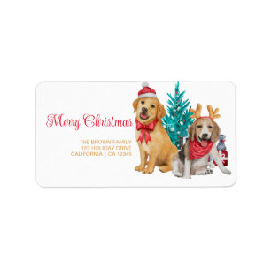 Fun Christmas Photo Modern Minimal Return Address Label
