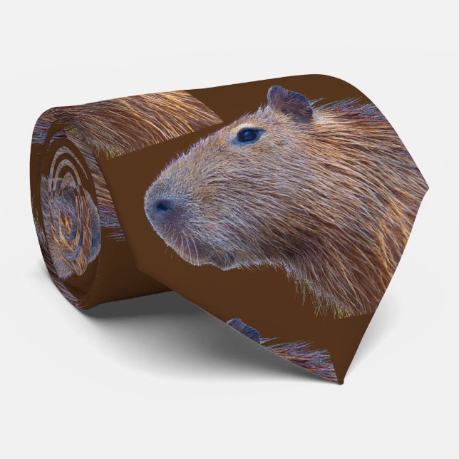 Fun Cravate Capybara (Roulé)