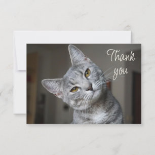 Fun Cute Kitten Cat Thank You Card