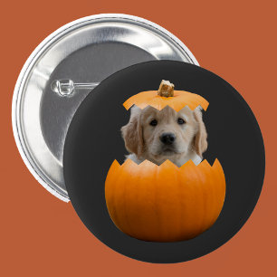 Fun Cute Personalized Halloween Pumpkin Dog Photo 2 Inch Round Button