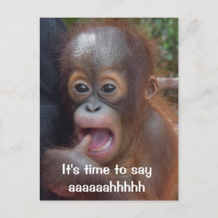 Fun Dentist Appointment Reminder Postcard