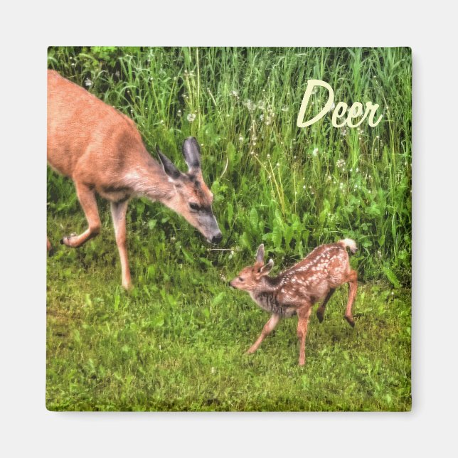 Fun Design for the Kid in All of Us! Magnet (Front)
