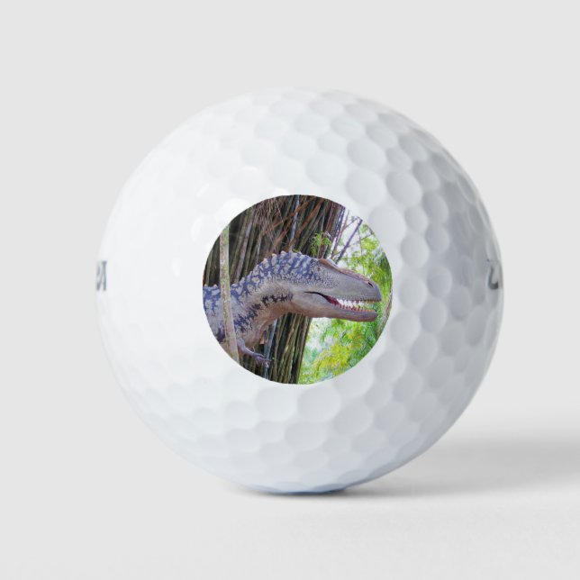 Fun Dinosaur - Daspletosaur Golf Balls (Front)