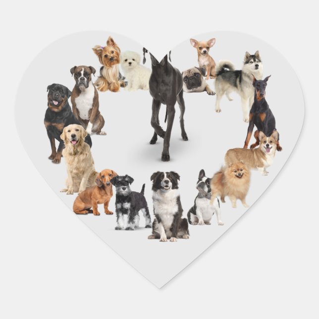 Fun Dog Breed Pet Animals Dog Walking Postcard Heart Sticker (Front)