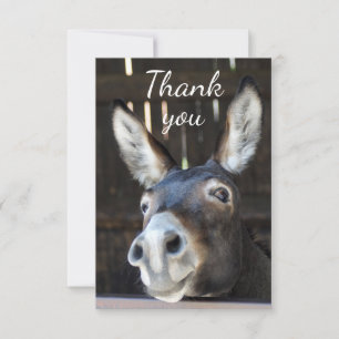 Fun Donkey, Burro, Farm Animal Humour Thank You Card