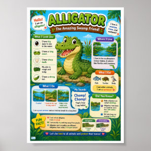 Fun Facts About Alligator For Kids Poster