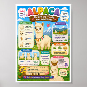 Fun Facts About Alpaca For Kids Poster
