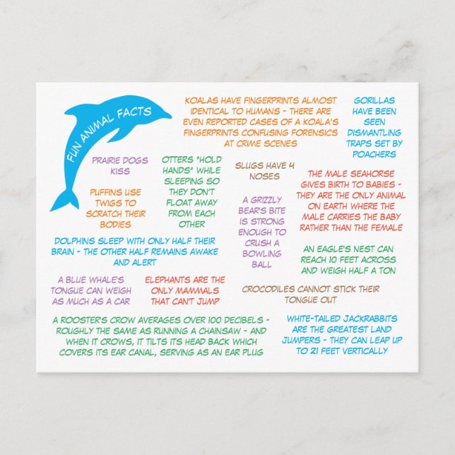 Fun Facts About Animals Cute & Colourful Postcard (Front)