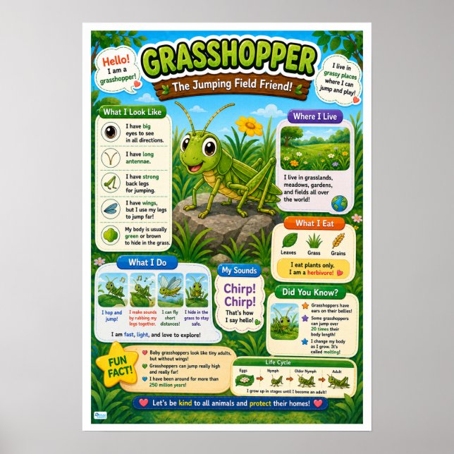 Fun Facts About Grasshopper For Kids Poster (Front)