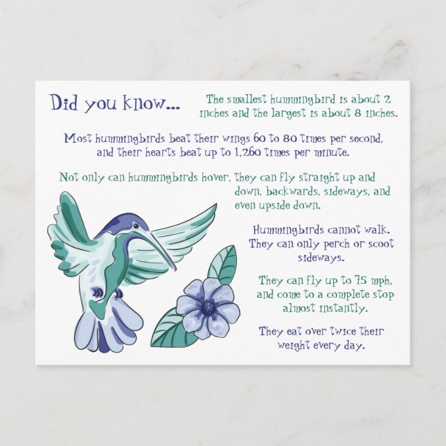 Fun Facts About Hummingbirds Postcard (Front)