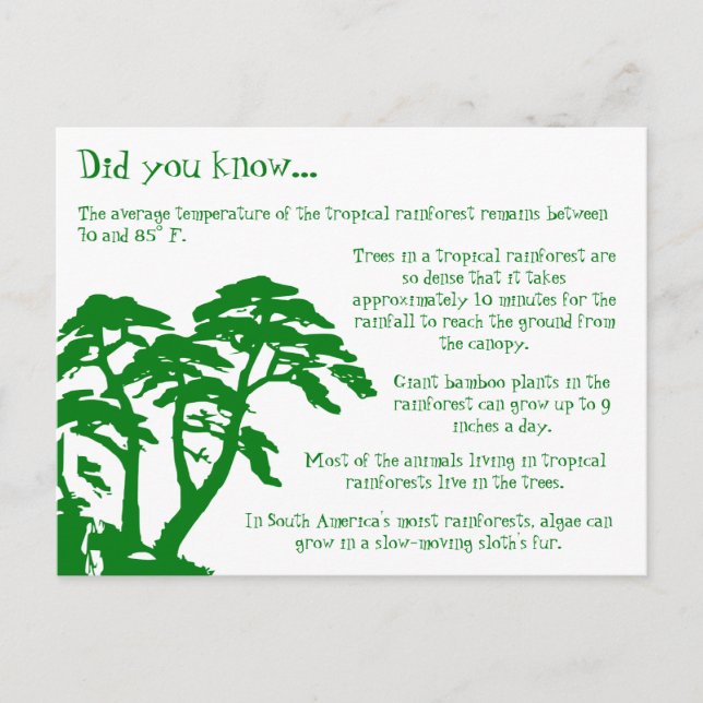 Fun Facts About the Rainforest Postcard (Front)