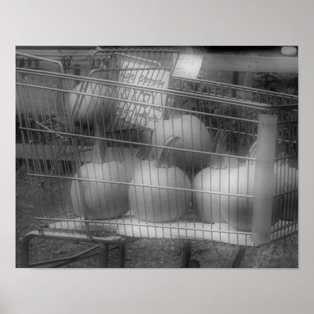 Fun Fall Pumpkins Black White Photo Print (Front)
