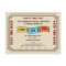 Fun Family Reunion Ticket to Save the Date