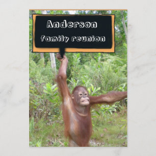 Fun Family Reunions Invitation