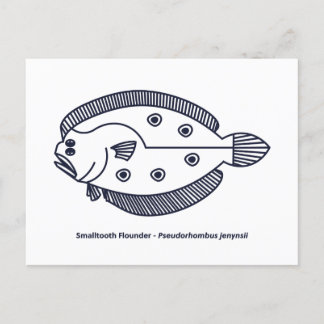 Fun Flounder Fish in Deepest Blue and White Postcard