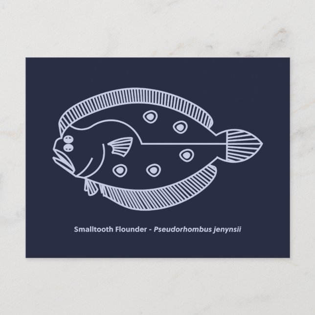 Fun Flounder Fish in Light Purple on Deepest Blue Postcard (Front)