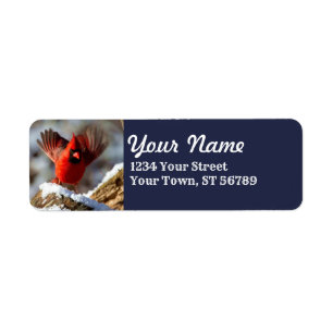Fun Fluffing Cardinal Script Font Address Labels