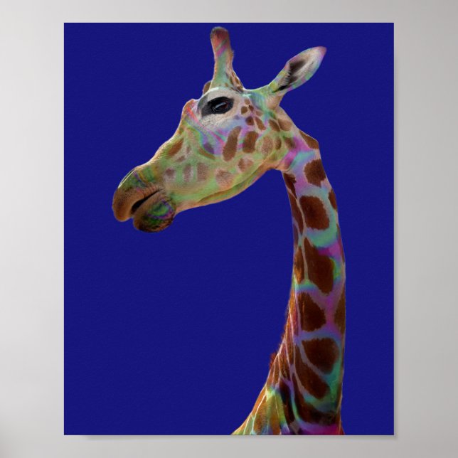 Fun funky rainbow colourful Giraffe   Poster (Front)