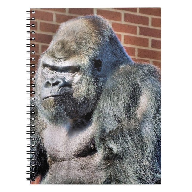 FUN GORILLA NOTEBOOK (Front)