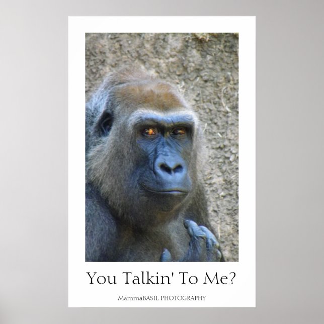 Fun Gorilla Poster! Poster (Front)