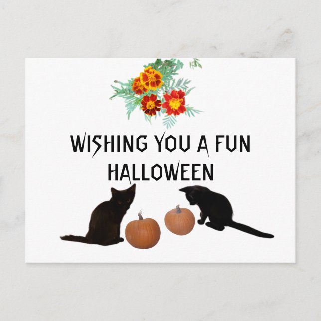 Fun Halloween Orange Pumpkins Marigolds Black Cats Postcard (Front)