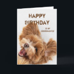 Fun Happy Birthday Granddaughter Cute Dog Puppy  Holiday Card<br><div class="desc">Celtic Blessings Christmas for Anyone for you to send to your favourite friends,  family or others
Fun Happy Birthday Granddaughter Cute Dog Puppy</div>