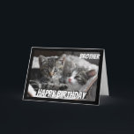 Fun Heart to Heart Brother Birthday Cat Animal Card<br><div class="desc">If you love Cats or Animals this card will bring a smile to your face Perfect for the Brother who loves Cats. We may not always see eye to eye but always heart to heart</div>