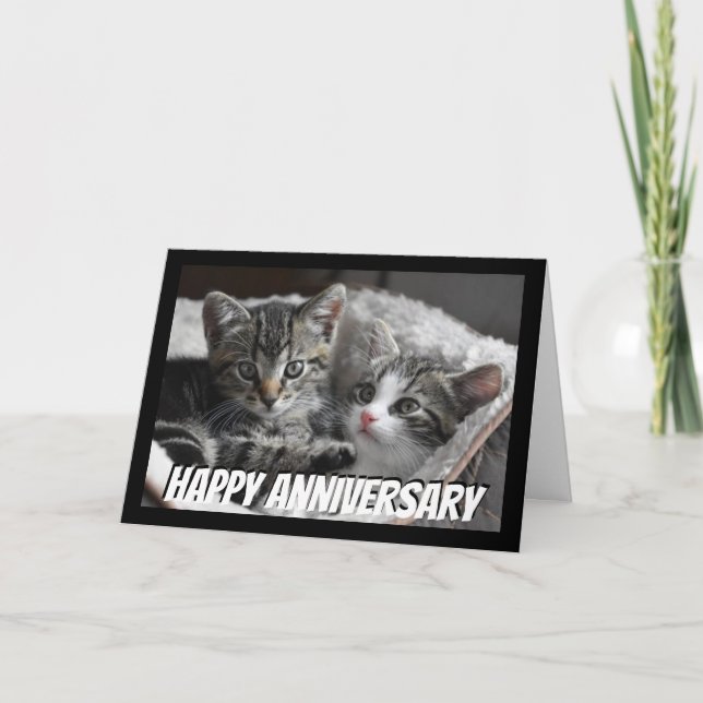 Fun Heart to Heart Couple  Anniversary Cat Animal Card (Front)