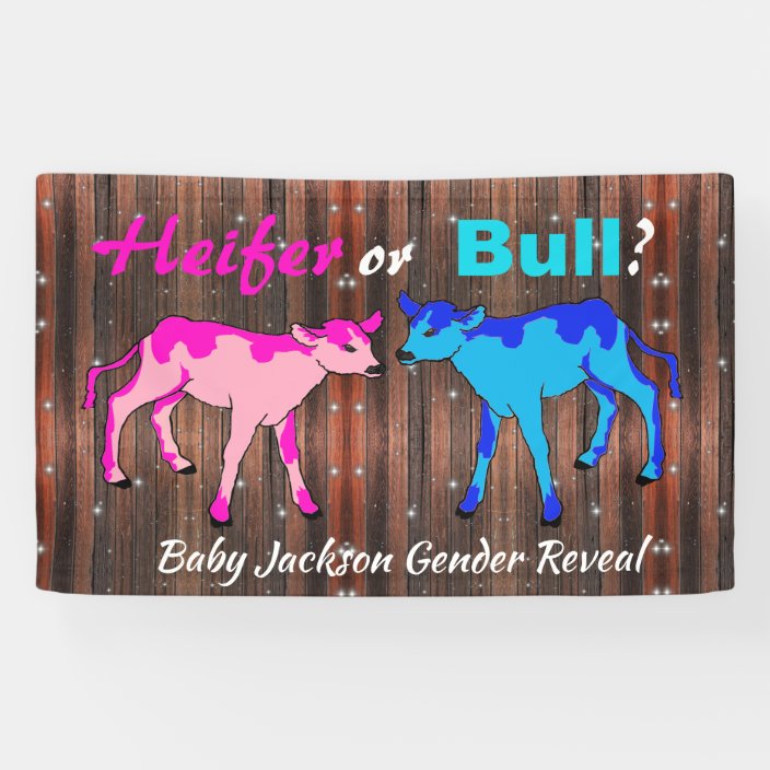 Fun "Heifer or Bull" Gender Reveal Banner Zazzle.ca