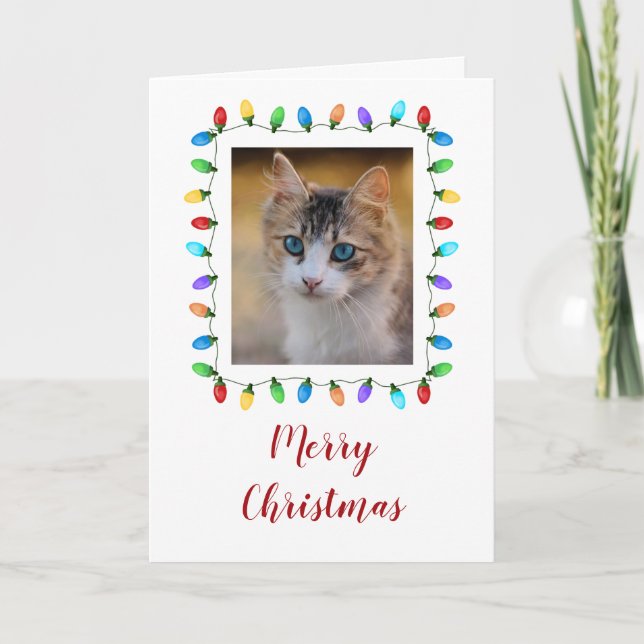 Fun Holiday Lights Pet Photo Frame Christmas Card (Front)