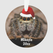 Fun Jumping Spider à Santa Hat Noël