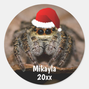 Fun Jumping Spider in Santa Hat Christmas  Classic Round Sticker