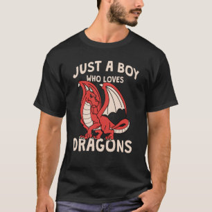 Fun Just a Boy who Loves Dragons Toddlers Tweens T T-Shirt