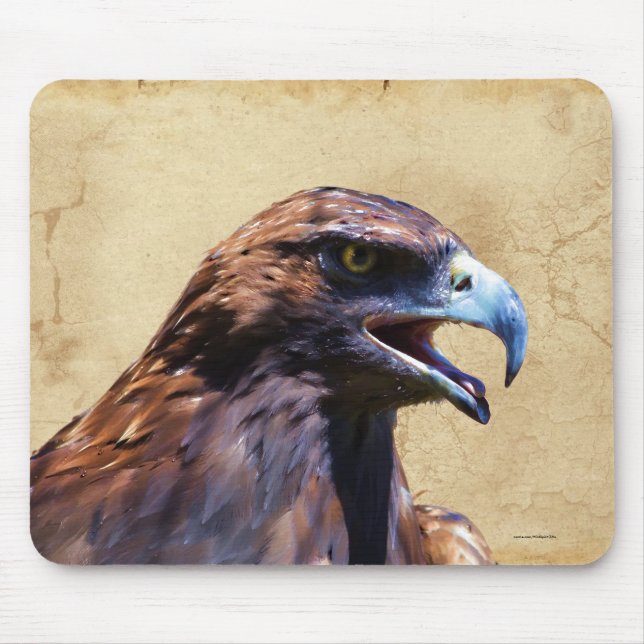 Fun Juvenile Bald Eagle Bad Attitude Wildlife Mouse Pad (Front)