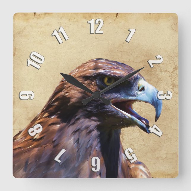 Fun Juvenile Bald Eagle Bad Attitude Wildlife Square Wall Clock (Front)