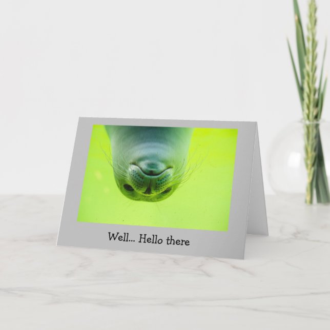 Fun Keeping in Touch How are you Seal Animal Card (Front)