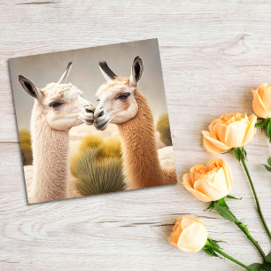 Fun Lamas Kissing Thank you Congrats Card