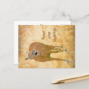 Fun laughing horse - Postcard
