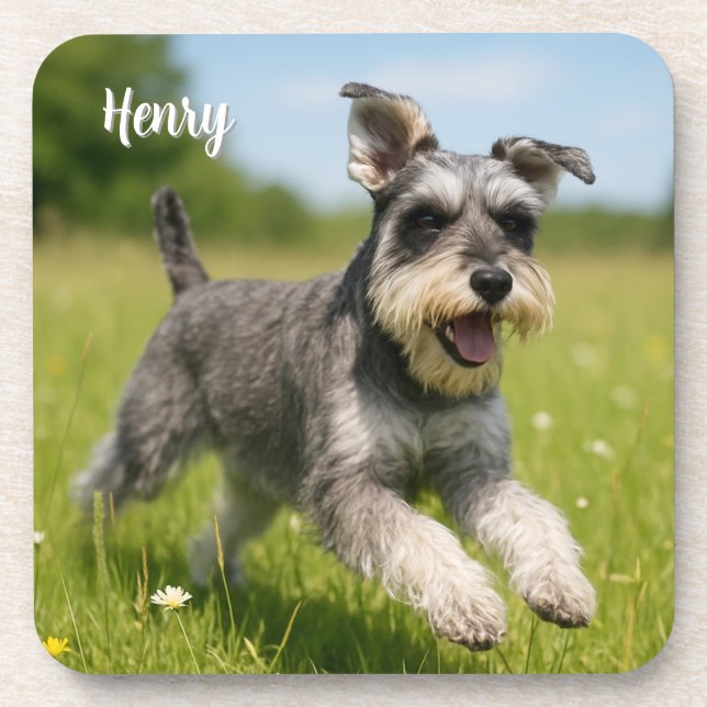 Fun-loving Personalized Schnauzer Coaster Set (Front)