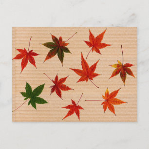 FUN Maple Leaves on Cardboard Box Postcard