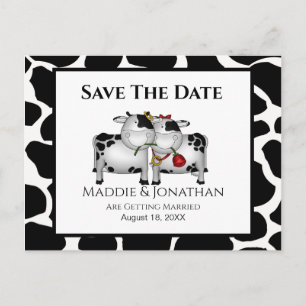 Fun Mariage vaches Enregistrer la date carte posta