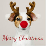 Fun Merry Christmas Dog Reindeer Animal Standing Photo Sculpture<br><div class="desc">Fun Merry Christmas Dog Reindeer Animal costume for those who celebrate Christmas holidays with a sense of humour</div>