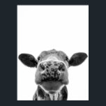 Fun Modern Black White Cow Rustic Farmhouse  Poster<br><div class="desc">This design may be personalized by choosing the Edit Design option. You may also transfer onto other items. Contact me at colorflowcreations@gmail.com or use the chat option at the top of the page if you wish to have this design on another product or need assistance. See more of my designs...</div>