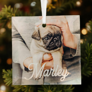 Fun Modern Simple Custom Pet Photo Keepsake Glass Ornament